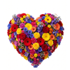 Blumenherz 'Farben des Lebens'